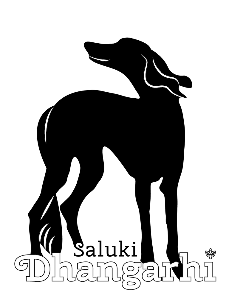 logo saluki CHS Dhangarhi