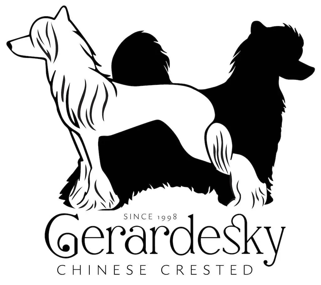 logo chovateľská stanica plemena Chinese crested